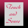 Touch and Sense Wien logo
